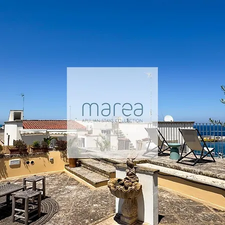 别墅 La Torretta - Authentic Historic House With Panoramic Sea-view Terrace In Old Town - Marea Collection *